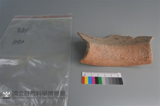 陶片藏品圖，第3張