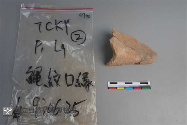 陶片藏品圖，第3張