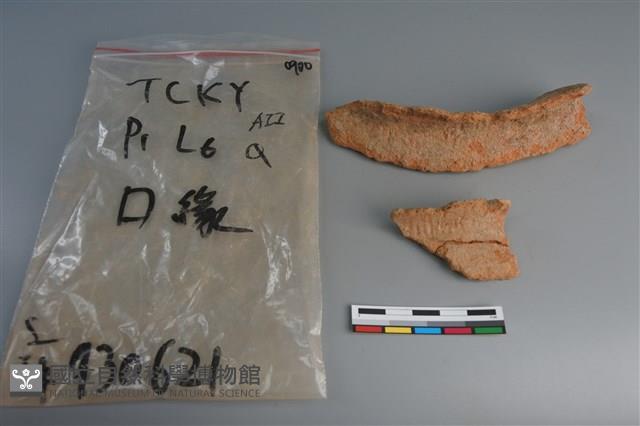 陶片藏品圖，第3張