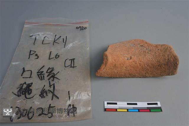 陶片藏品圖，第3張