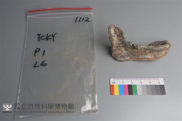 連杯形器藏品圖，第3張