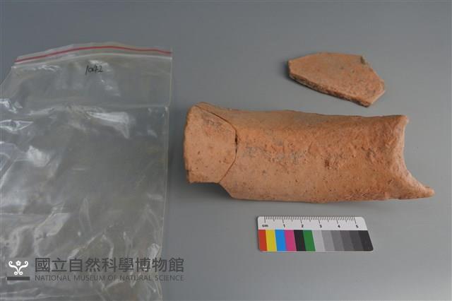 陶片藏品圖，第3張