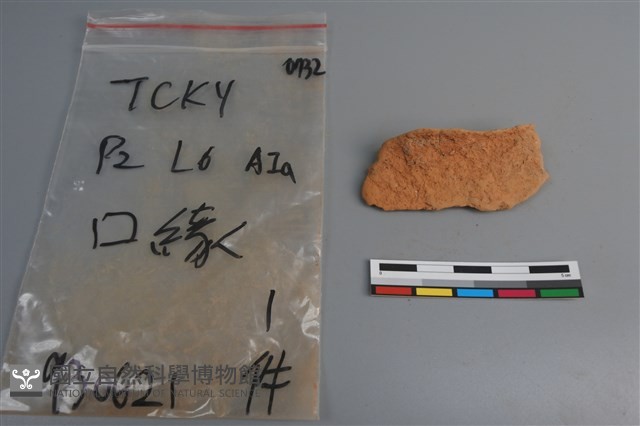 陶片藏品圖，第3張