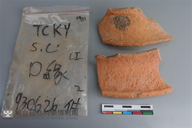 陶片藏品圖，第3張