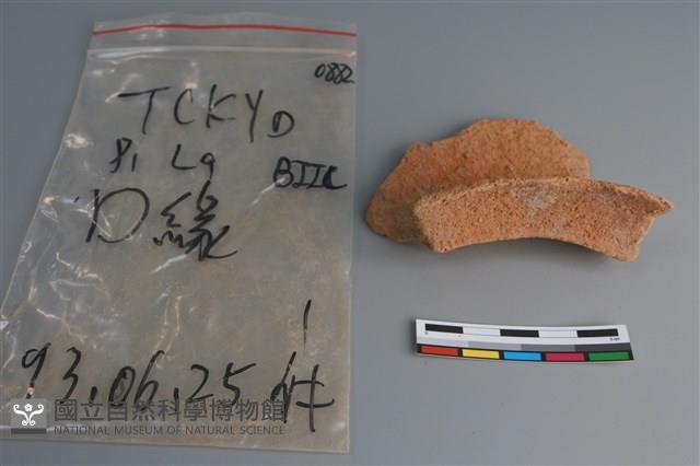 陶片藏品圖，第3張