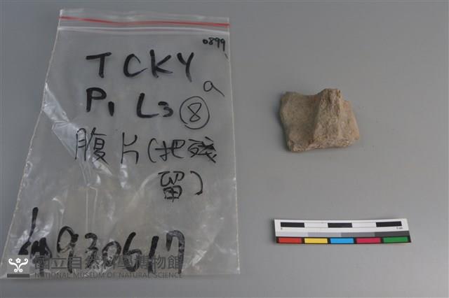 陶片藏品圖，第3張