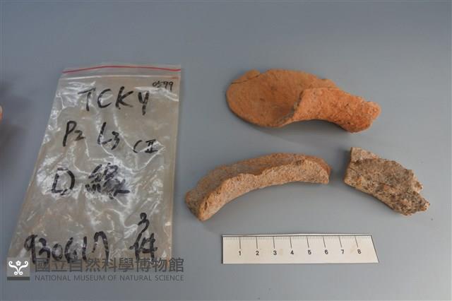 陶片藏品圖，第3張