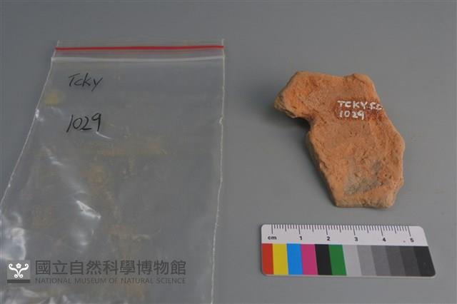 陶片藏品圖，第3張