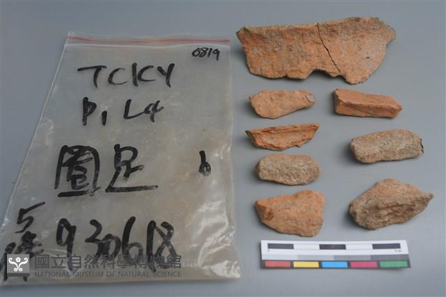 陶片藏品圖，第3張