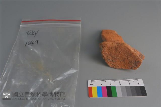 陶片藏品圖，第3張