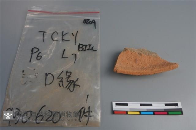 陶片藏品圖，第3張