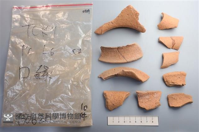 陶片藏品圖，第3張