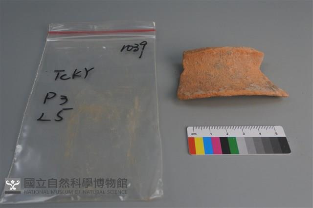 陶片藏品圖，第3張