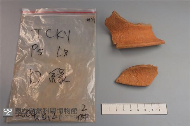 陶片藏品圖，第3張