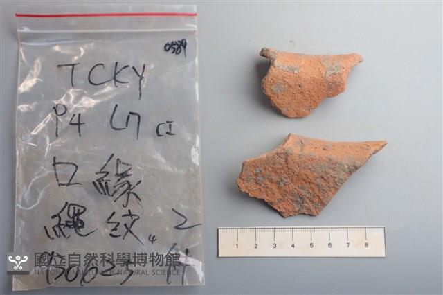 陶片藏品圖，第3張