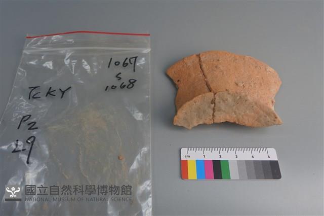 陶片藏品圖，第3張