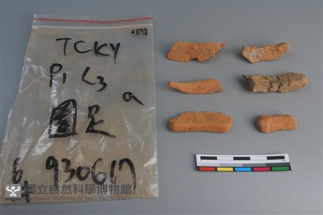 陶片藏品圖，第3張