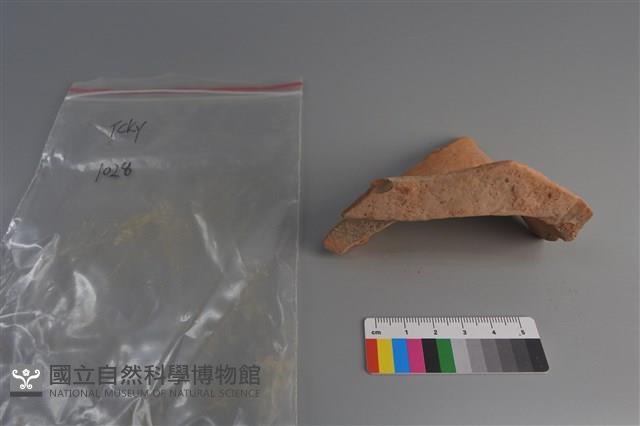 陶片藏品圖，第3張