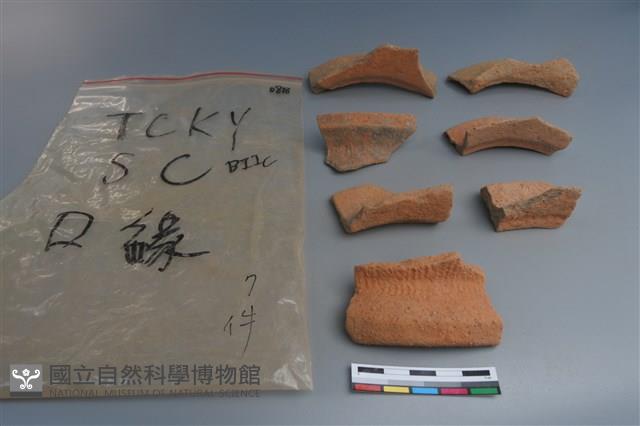 陶片藏品圖，第3張