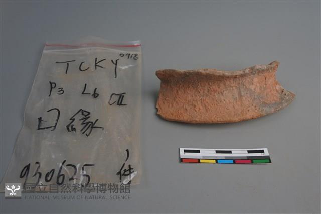 陶片藏品圖，第3張