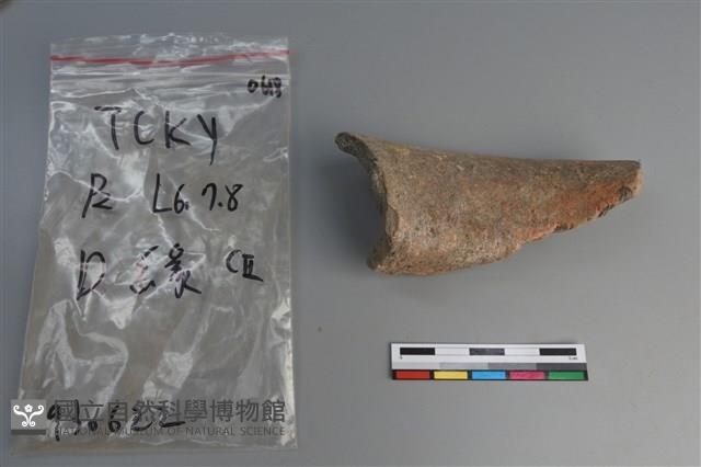 陶片藏品圖，第3張