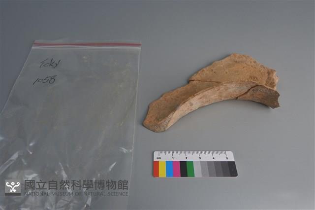 連杯形器藏品圖，第3張