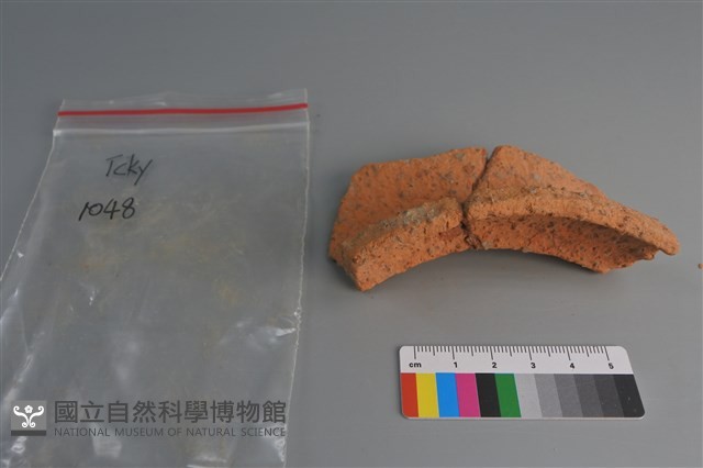 陶片藏品圖，第3張