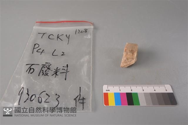 帶加工痕石材藏品圖，第3張