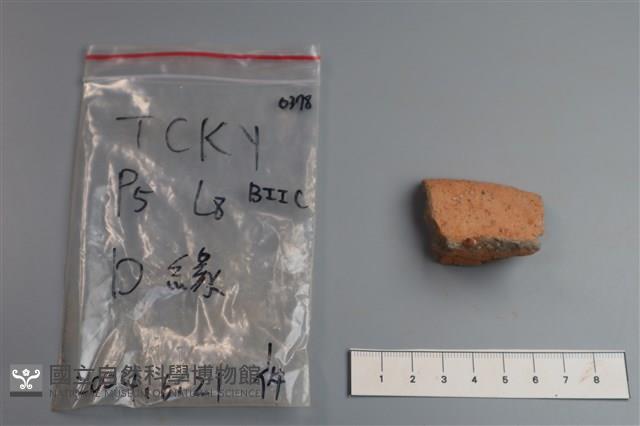 陶片藏品圖，第3張