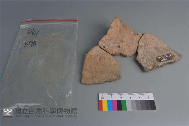 連杯形器藏品圖，第3張