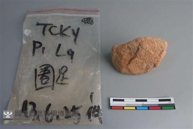 陶片藏品圖，第3張