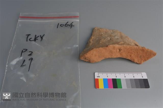 陶片藏品圖，第3張