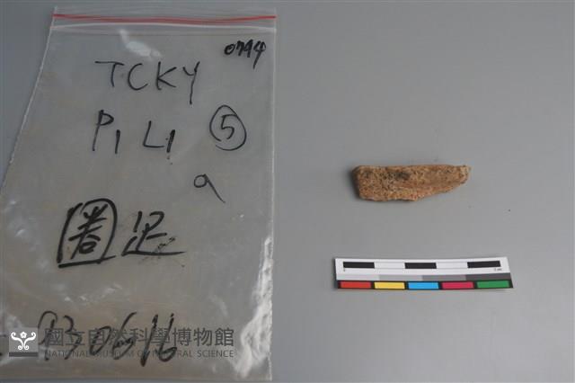 陶片藏品圖，第3張