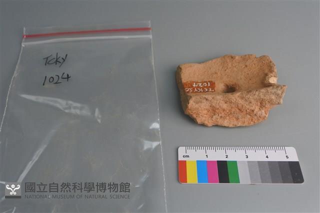 陶片藏品圖，第3張