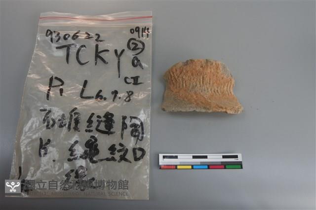 陶片藏品圖，第3張