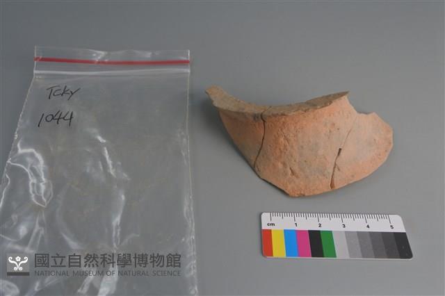 陶片藏品圖，第3張