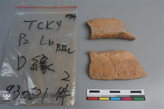 陶片藏品圖，第3張