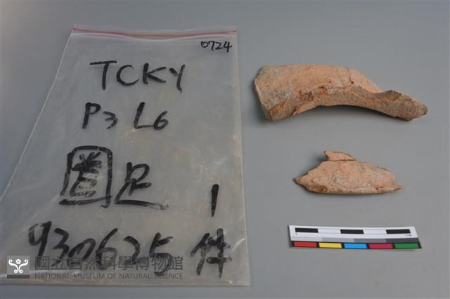 陶片藏品圖，第3張