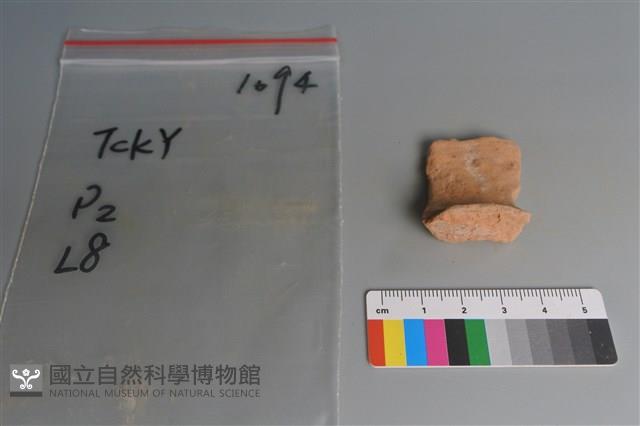 陶片藏品圖，第3張