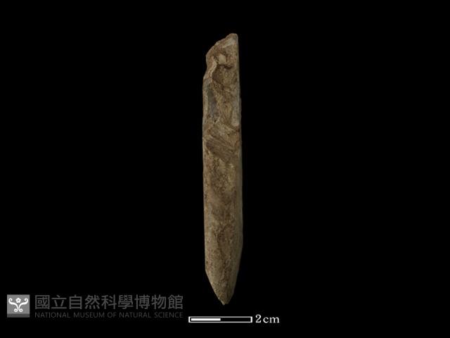 錛鑿形器藏品圖，第3張