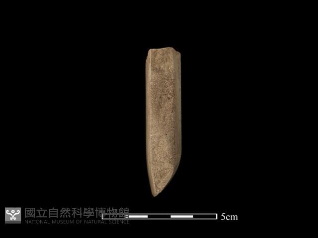 錛鑿形器藏品圖，第3張