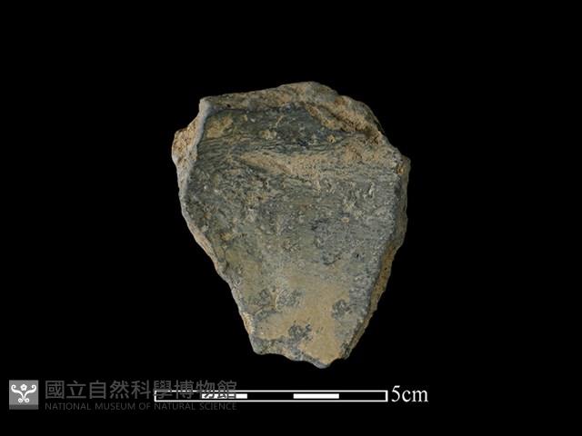 陶片藏品圖，第2張