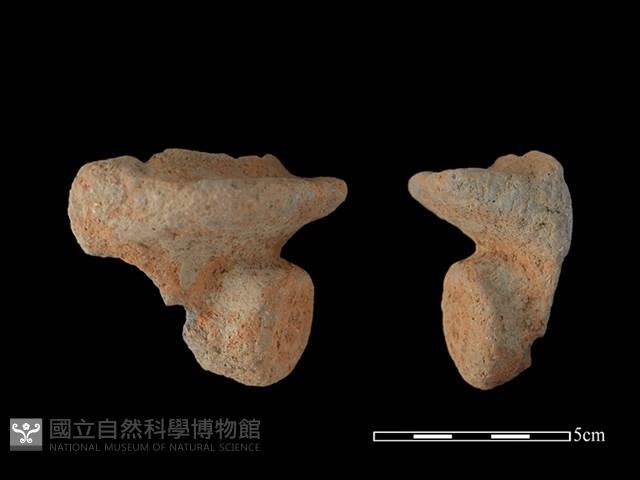 陶鈕藏品圖，第2張