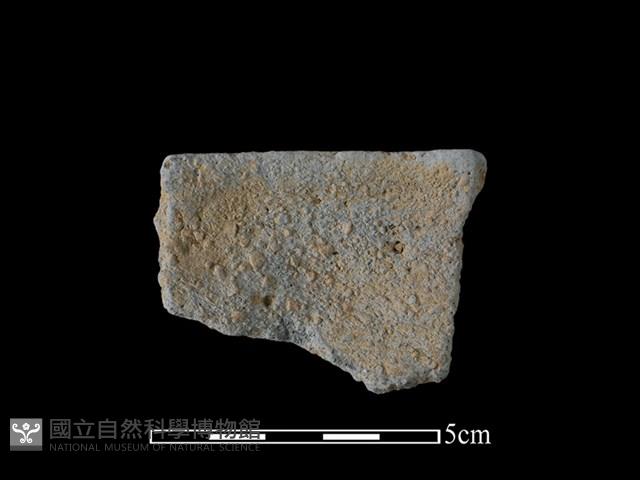 陶缽藏品圖，第2張