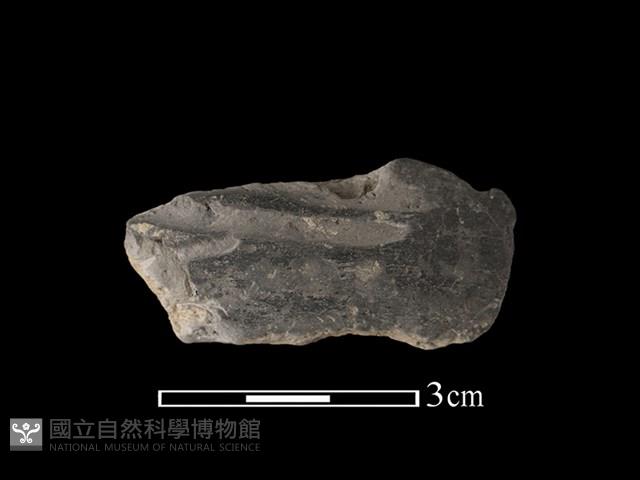 陶片藏品圖，第1張