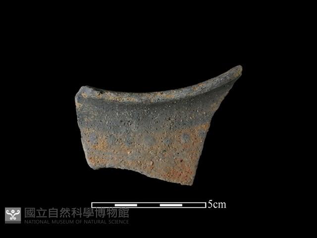 陶片藏品圖，第1張