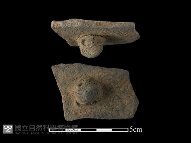 陶鈕藏品圖，第1張