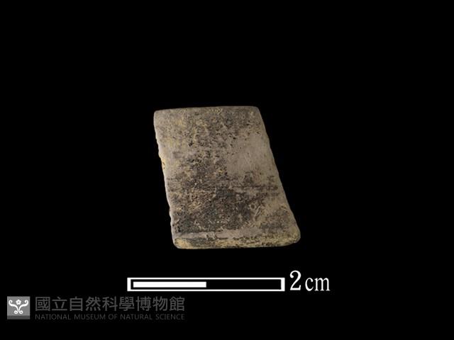 陶環藏品圖，第1張