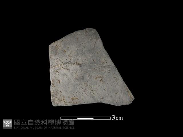 陶片藏品圖，第1張