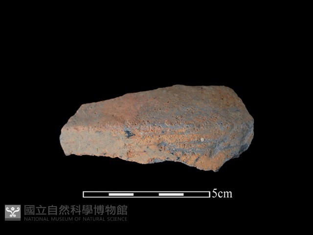 陶片藏品圖，第1張